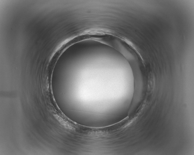 X0000081280973200701181738