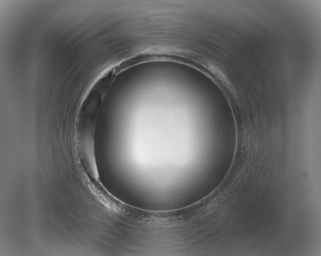 X0000081280976200701181738
