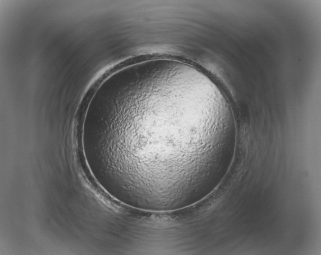 X0000081280983200701181738