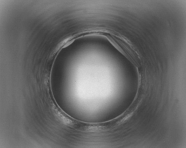 X0000081280985200701181738