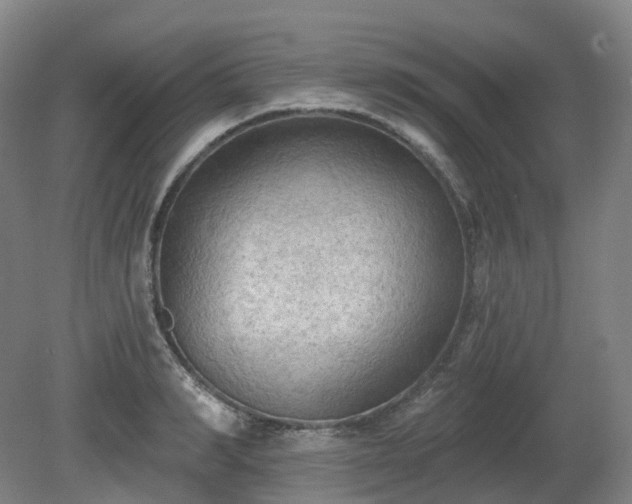 X0000081280990200701181738
