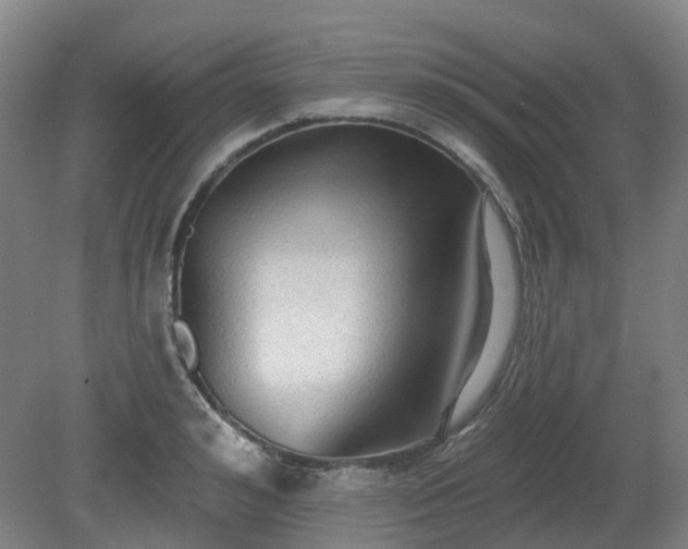X0000081280992200701181738