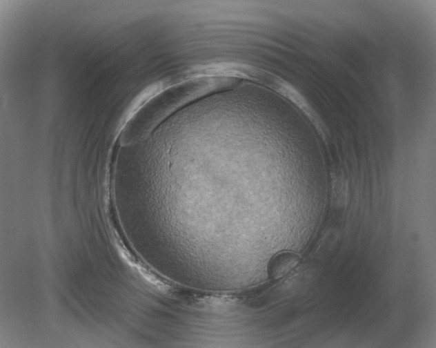 X0000081280994200701181738