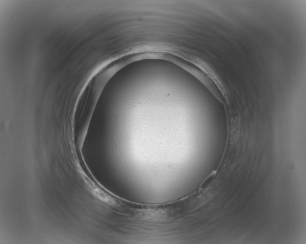 X0000081280996200701181738