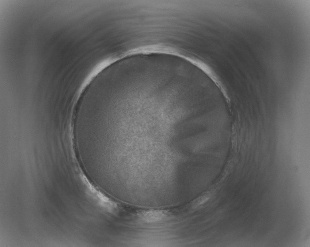 X0000081280998200701181738