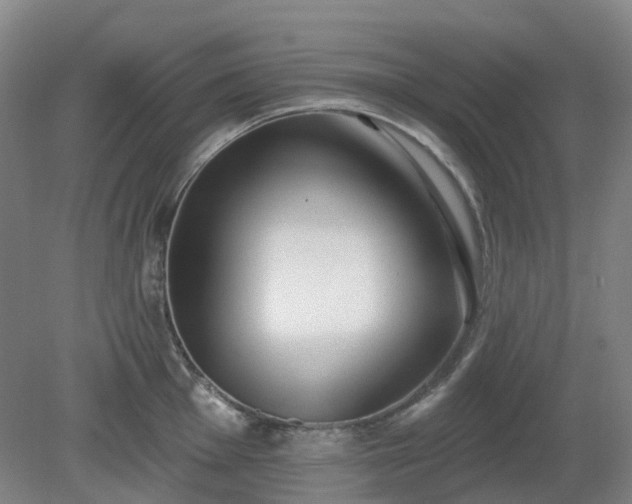 X0000081281001200701181738