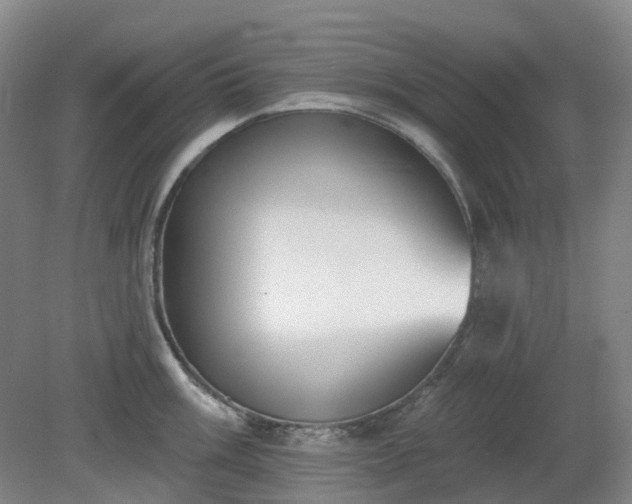 X0000081281003200701181738