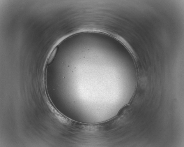 X0000081281004200701181738