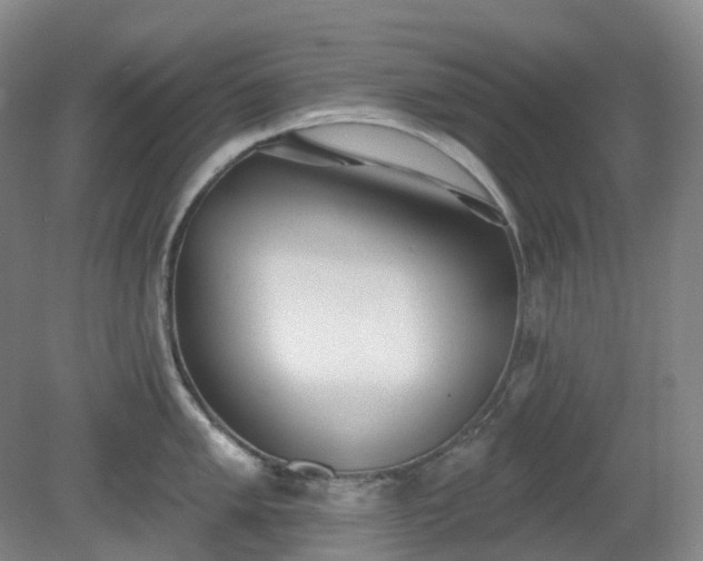 X0000081281005200701181738