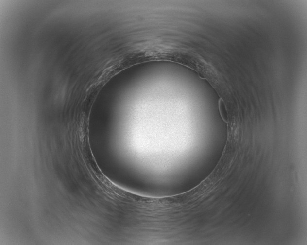 X0000081281012200701181737