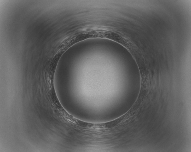 X0000081281013200701181737