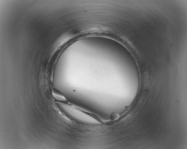 X0000081281018200701181737
