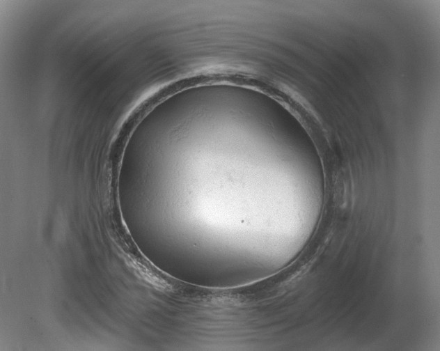 X0000081281021200701181737