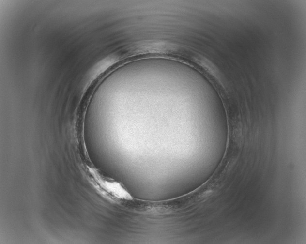X0000081281026200701181737