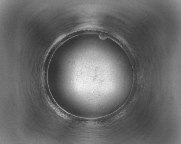 X0000081281029200701181737