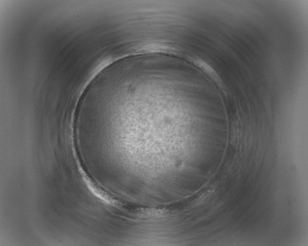 X0000081281039200701181738