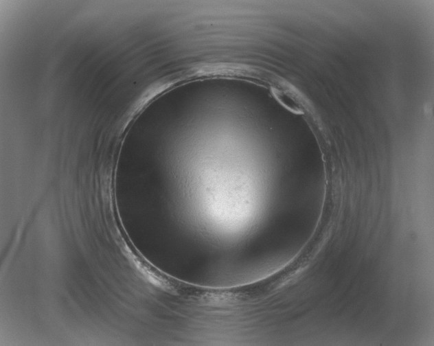 X0000081281041200701181738