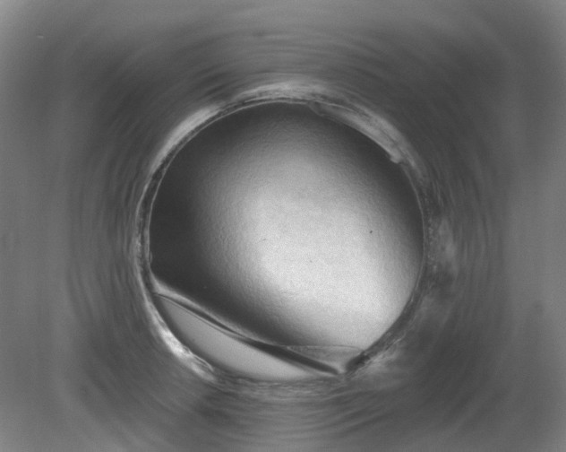 X0000081281042200701181738