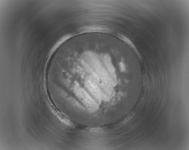 X0000081281043200701181738