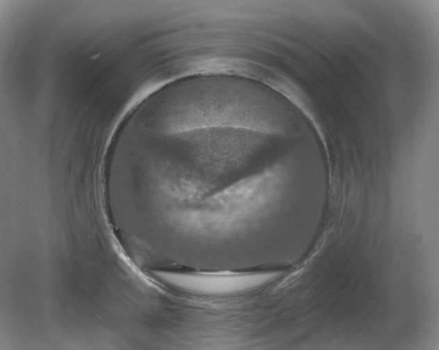 X0000081281045200701181738