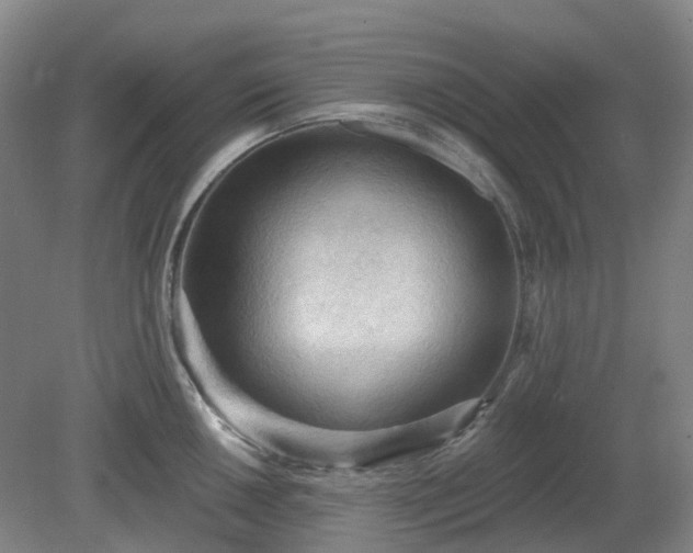 X0000081281050200701181738