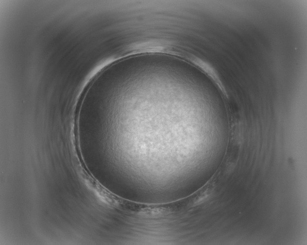 X0000081281051200701181738