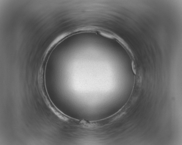 X0000081281053200701181738
