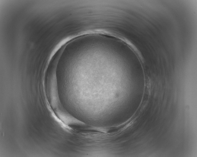 X0000081281054200701181738