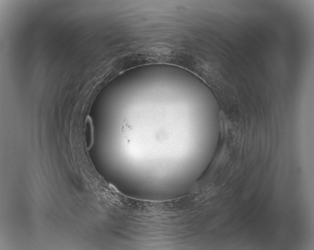 X0000081281057200701181737