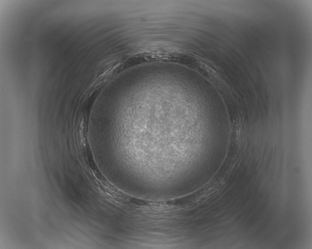 X0000081281060200701181737
