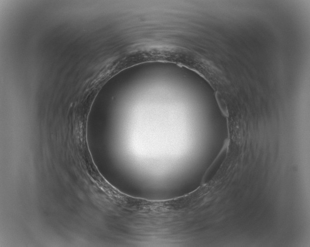 X0000081281061200701181737