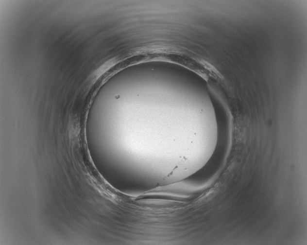 X0000081281065200701181737