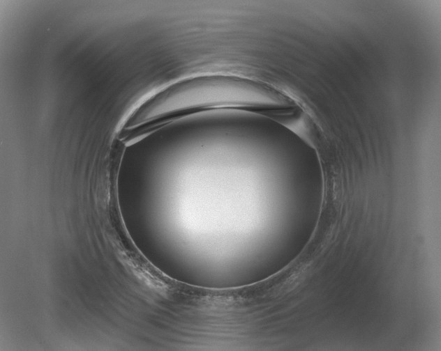 X0000081281069200701181737
