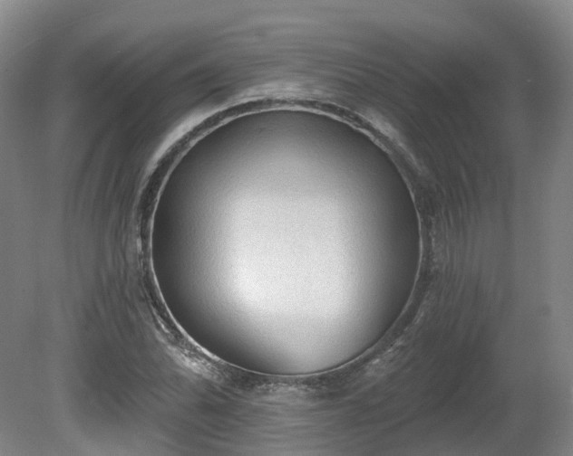 X0000081281070200701181737