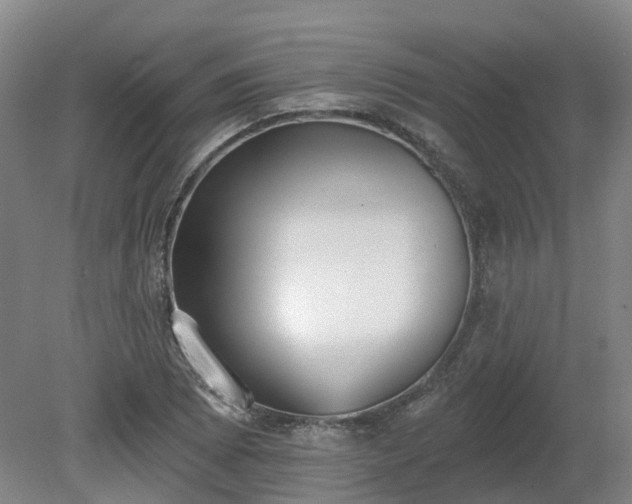 X0000081281073200701181737