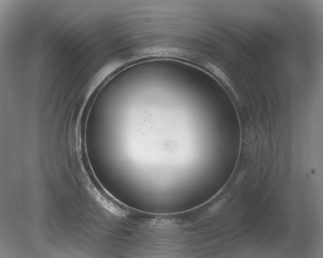 X0000081281082200701181737