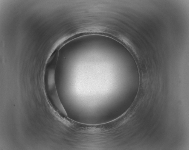X0000081281085200701181737