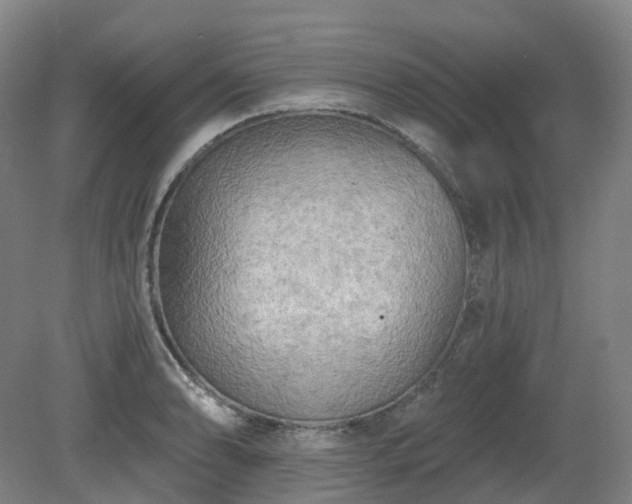 X0000081281086200701181737