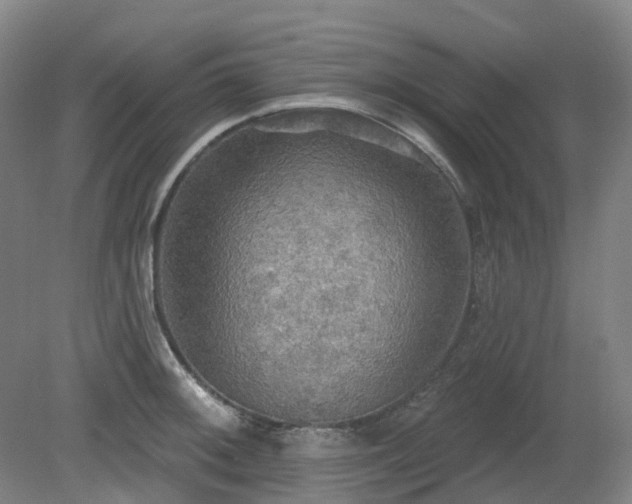 X0000081281092200701181736