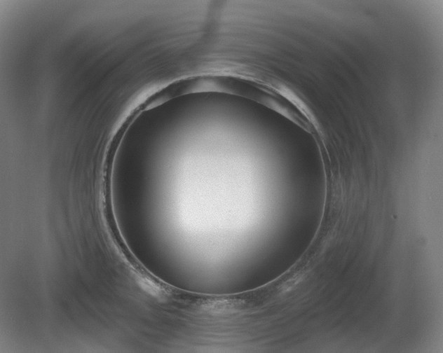 X0000081281093200701181736