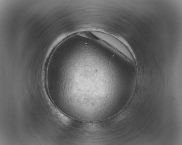 X0000081281096200701181736