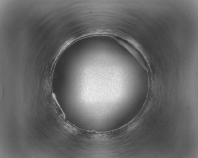 X0000081281097200701181736