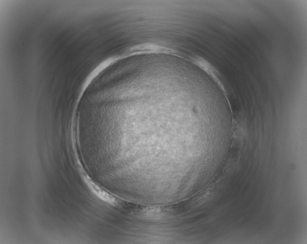X0000081281098200701181736