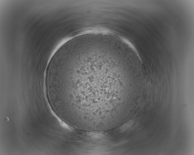 X0000081281103200701181736