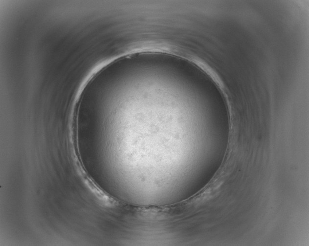 X0000081281104200701181736