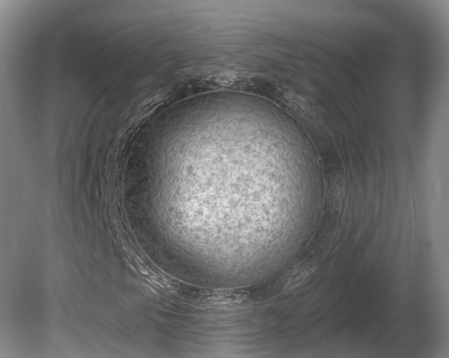 X0000081281105200701181735