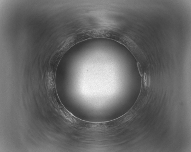 X0000081281107200701181735