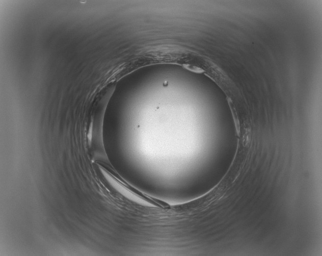 X0000081281108200701181735