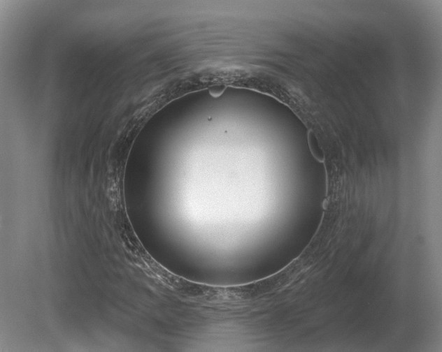 X0000081281109200701181735