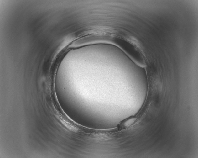 X0000081281114200701181736